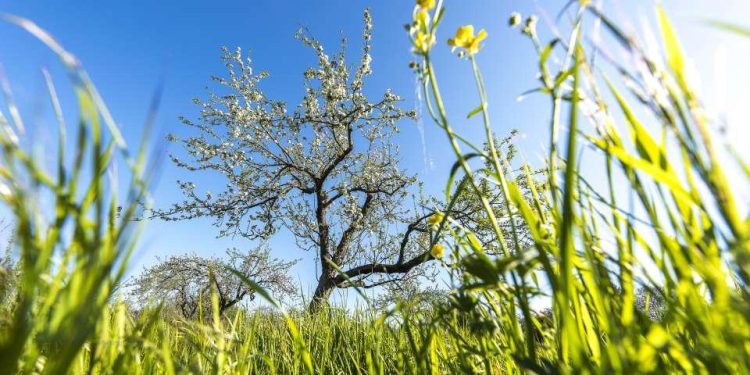 Revolutionizing Retail: Harnessing Live Video for Seamless Online Shopping Experiences