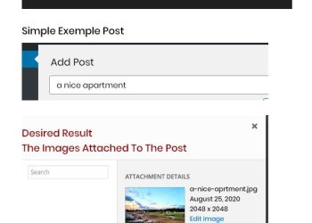 Unlocking Success: Optimize Your Website to Boost Organic Search Traffic and Quality