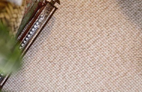 Discover the Top Live Shopping Platforms for Amazon Store Owners to Boost Sales