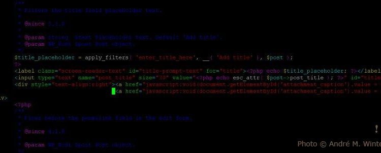 Unlocking Success: Optimize Your Website to Boost Organic Search Traffic Quality & Quantity