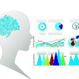 Define ⁢Your‍ Target: ⁢Understanding Audience Segmentation for Effective Campaigns